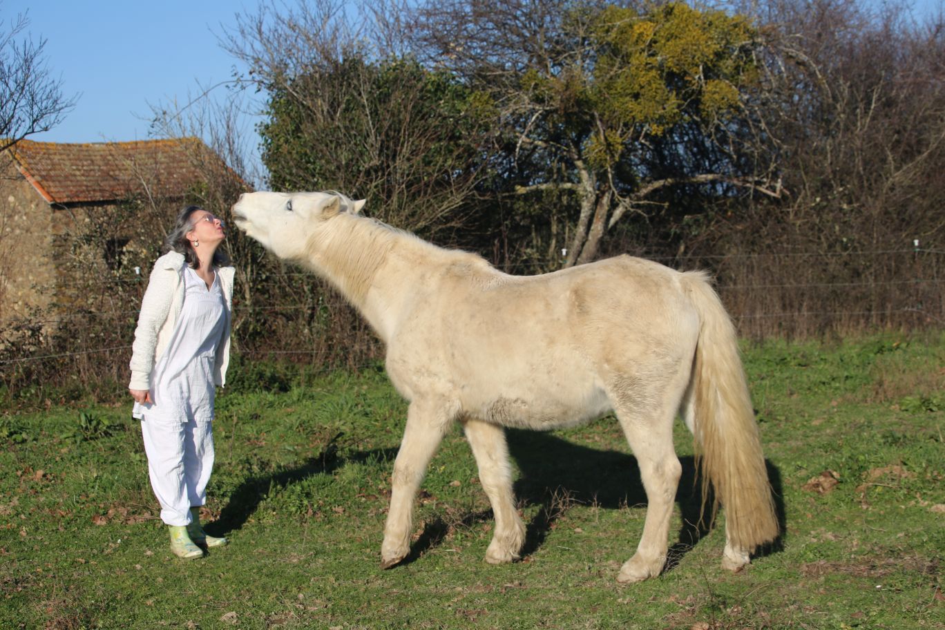 Isabelle et son cheval