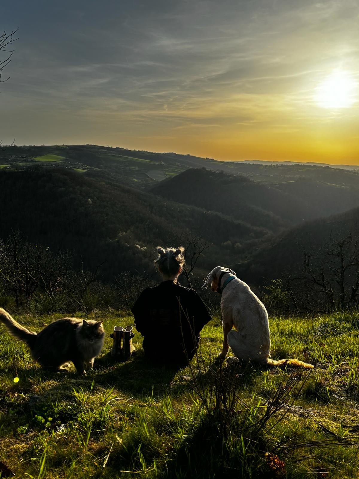 Coucher de soleil